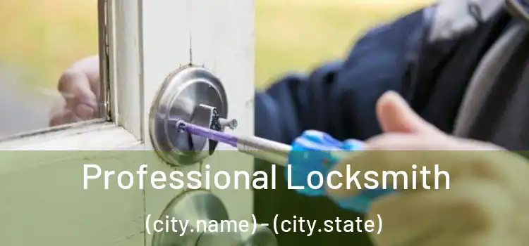 Professional Locksmith (city.name) - (city.state)
